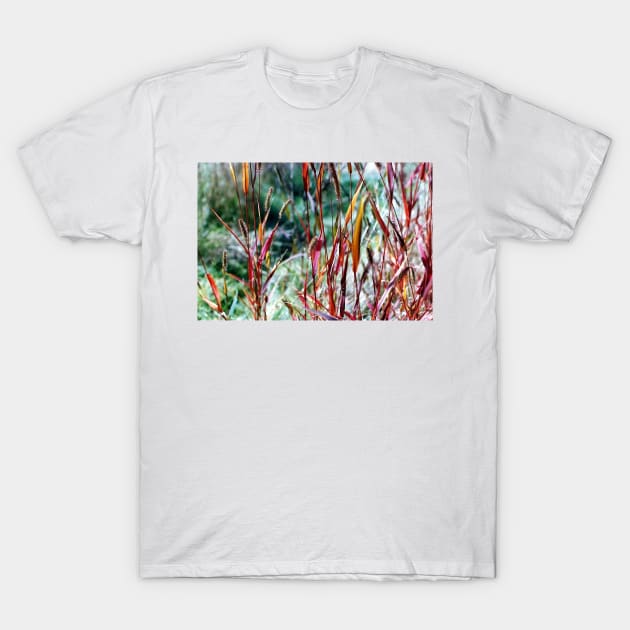 Grasses T-Shirt by DANAROPER